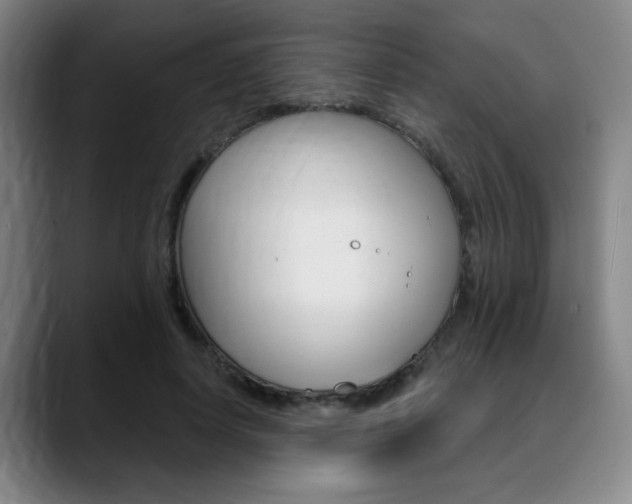 X0000089380642200706150912