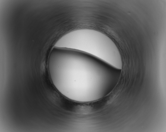 X0000089380644200706150912