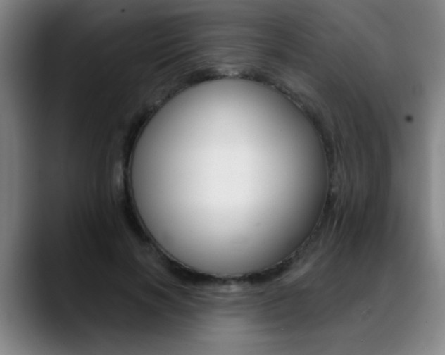 X0000089380646200706150912