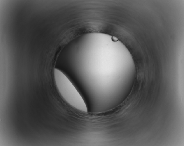 X0000089380647200706150912
