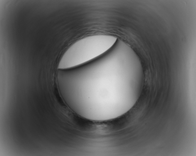 X0000089380650200706150912