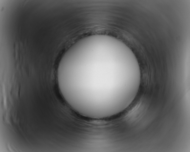 X0000089380654200706150912