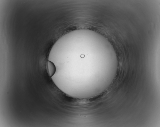 X0000089380659200706150912
