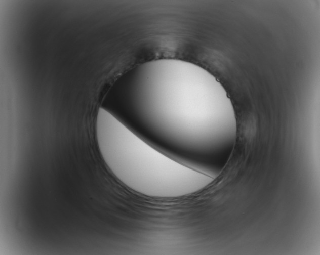 X0000089380661200706150912