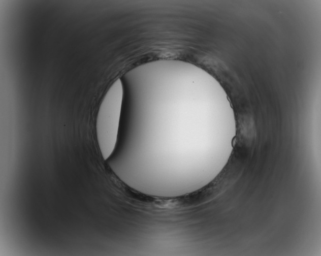 X0000089380667200706150912