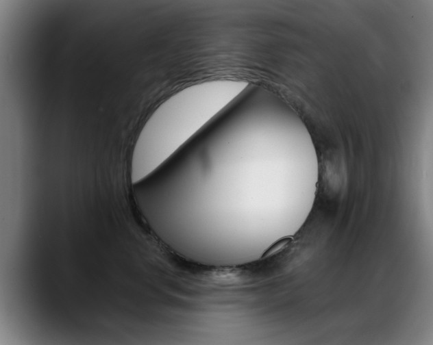 X0000089380668200706150912