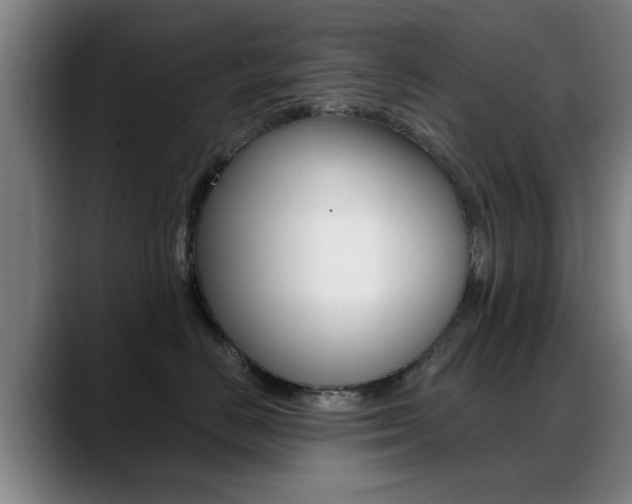 X0000089380670200706150912
