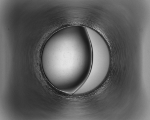 X0000089380673200706150912