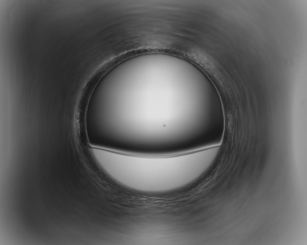 X0000089380676200706150912