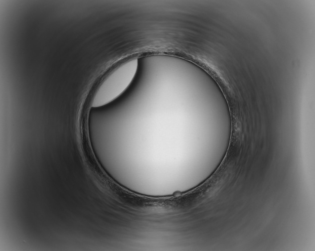 X0000089380678200706150912