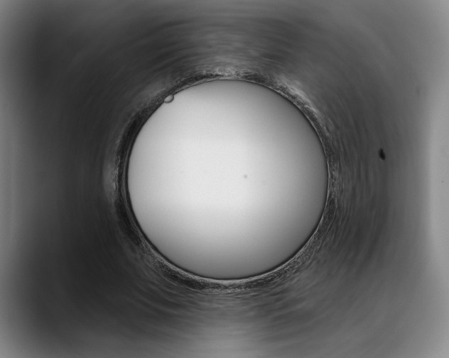 X0000089380679200706150912