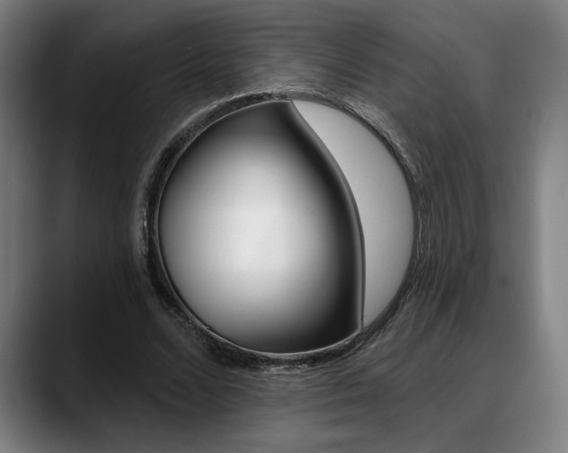 X0000089380680200706150912