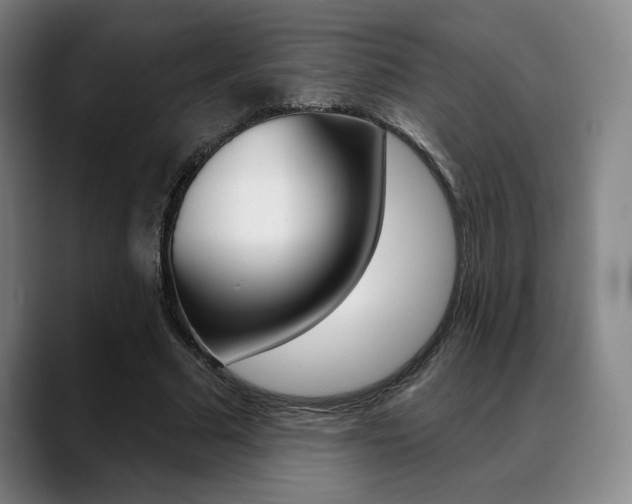 X0000089380681200706150912