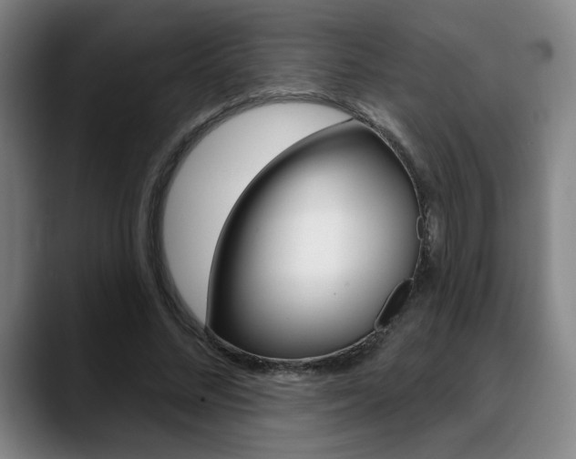X0000089380684200706150912