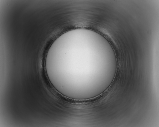 X0000089380686200706150911