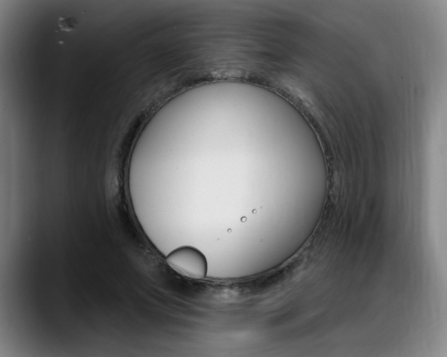 X0000089380687200706150911