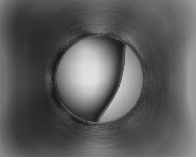 X0000089380688200706150911