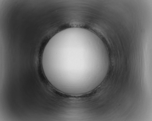 X0000089380690200706150911