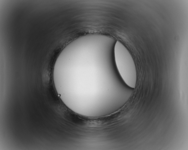 X0000089380691200706150911