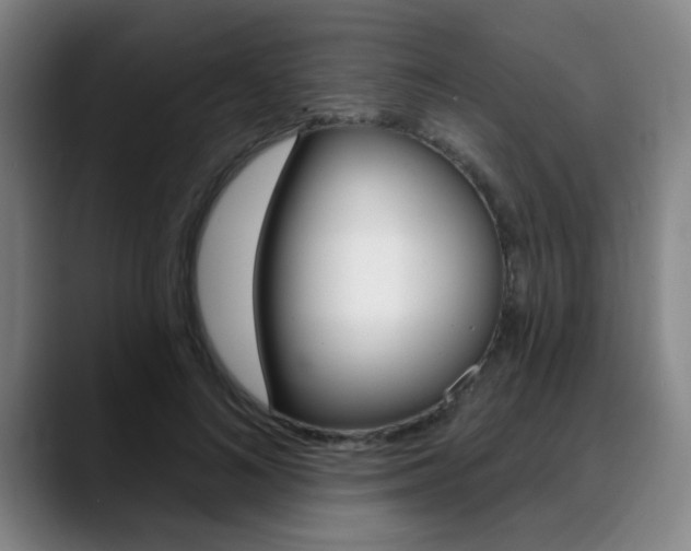 X0000089380692200706150911