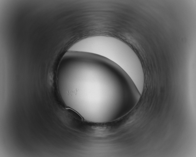 X0000089380693200706150911
