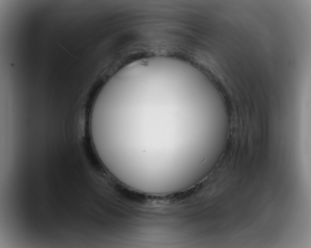 X0000089380694200706150911