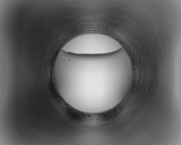 X0000089380695200706150911