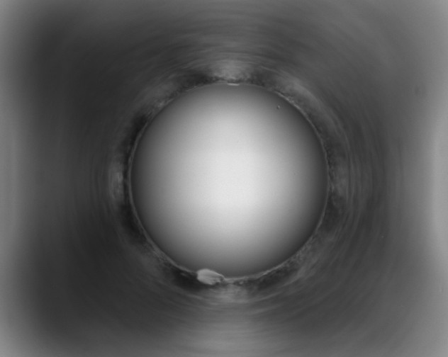 X0000089380696200706150911
