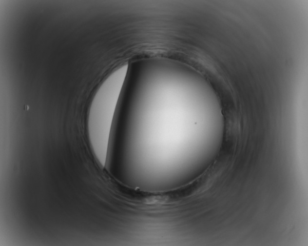 X0000089380700200706150911