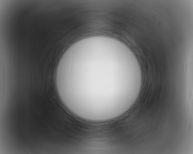 X0000089380701200706150911
