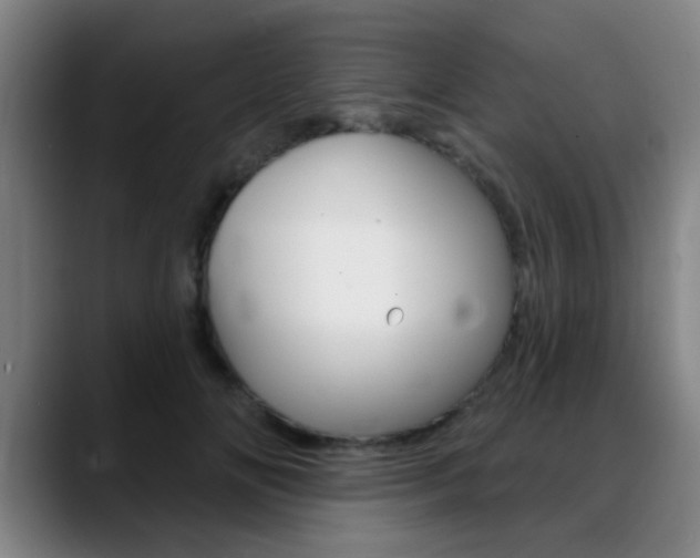X0000089380702200706150911