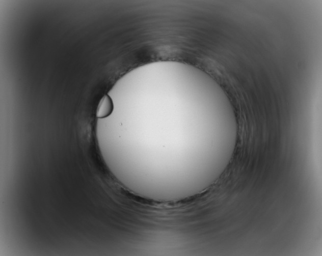 X0000089380703200706150911