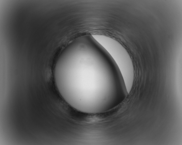 X0000089380704200706150911