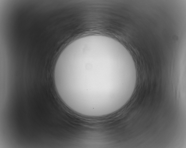 X0000089380705200706150911