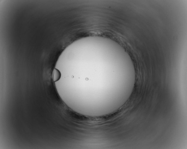 X0000089380707200706150911