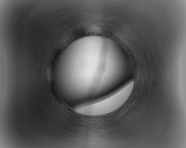 X0000089380708200706150911