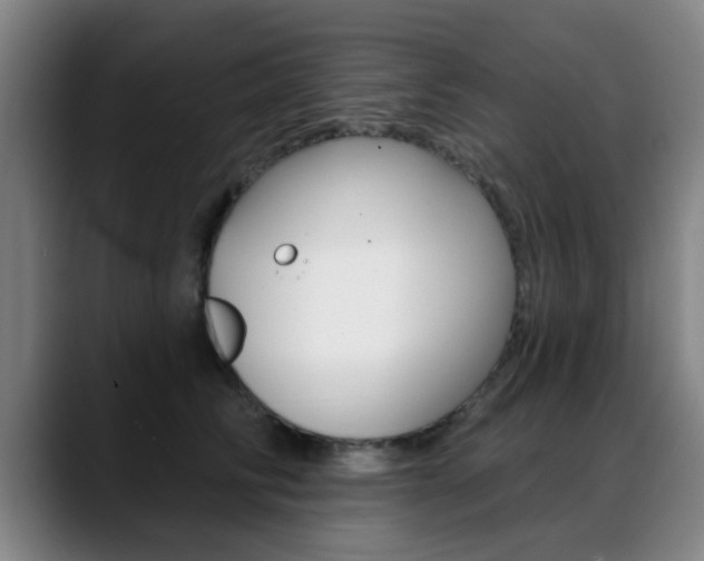 X0000089380710200706150911