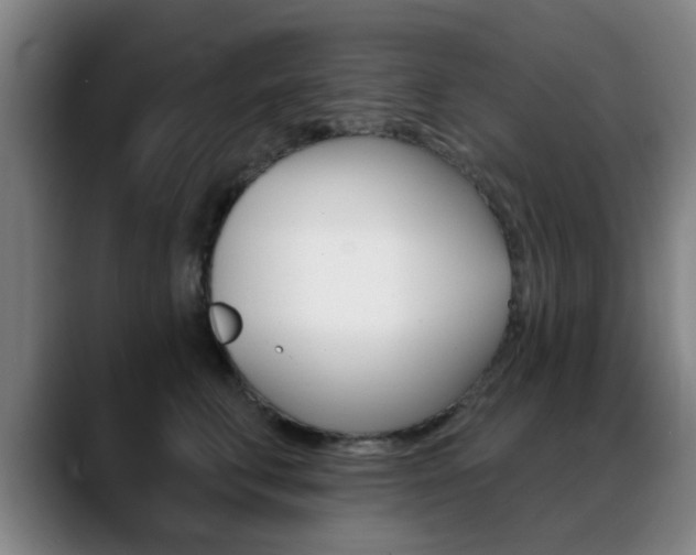 X0000089380711200706150911
