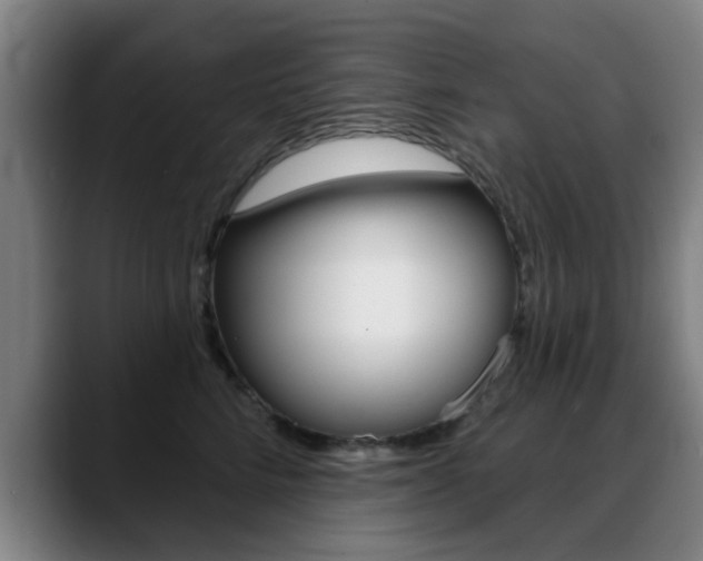 X0000089380712200706150911