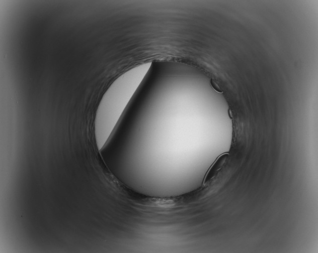 X0000089380719200706150911