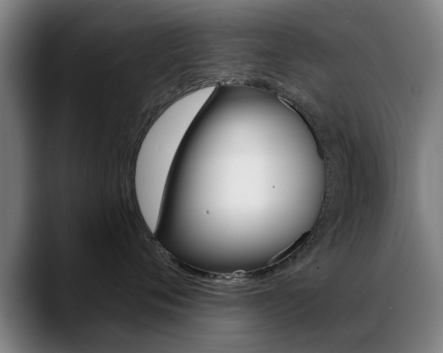 X0000089380720200706150911