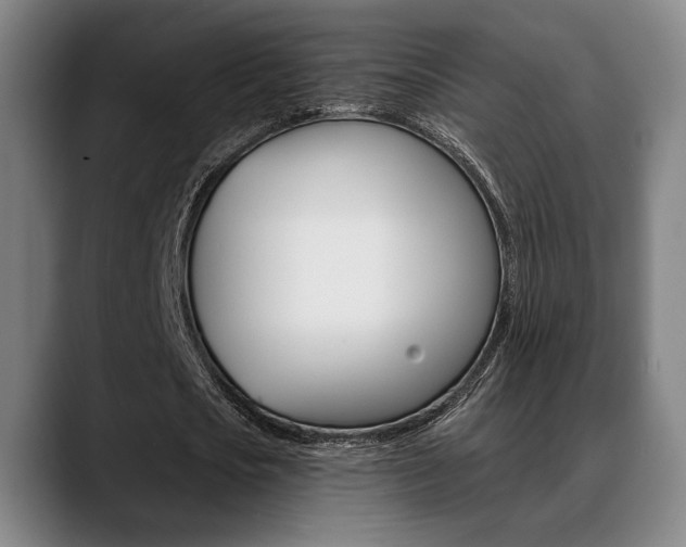 X0000089380721200706150910