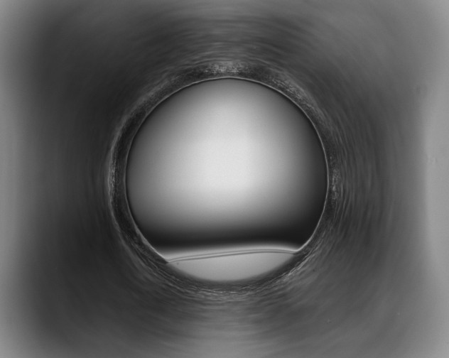 X0000089380722200706150910