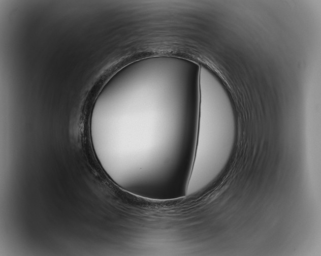 X0000089380723200706150910
