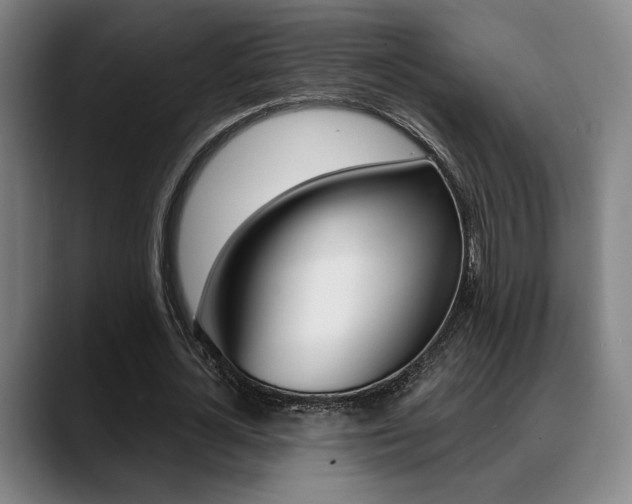 X0000089380724200706150910