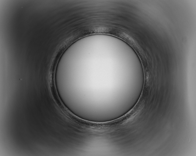X0000089380725200706150910