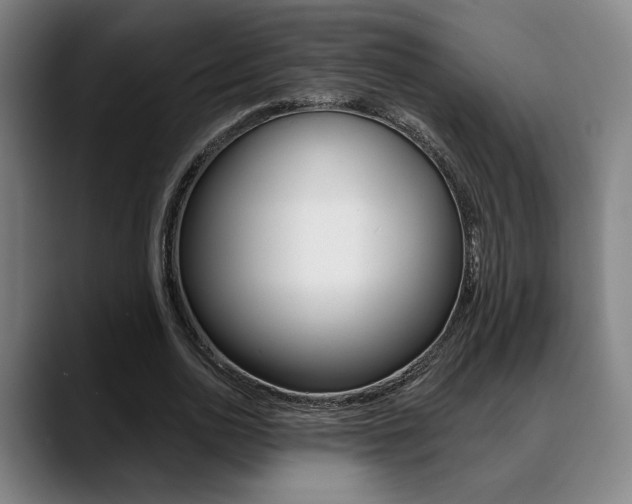 X0000089380726200706150910
