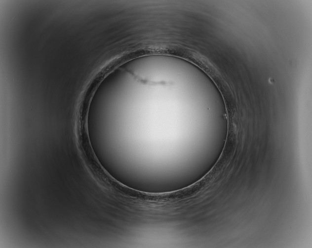 X0000089380728200706150911