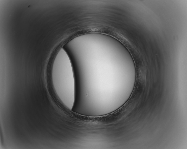 X0000089380730200706150911