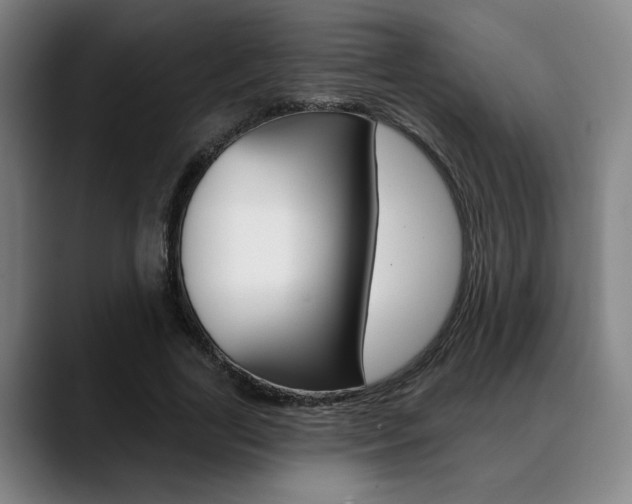 X0000089380731200706150911